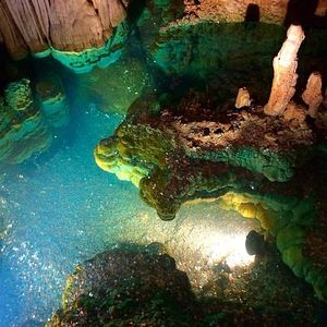 Meet your Posher, Shelly